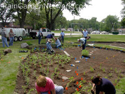 Rain garden installation