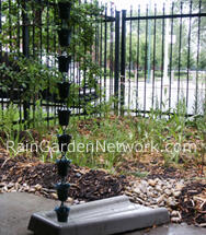 Rain garden with a rain chain